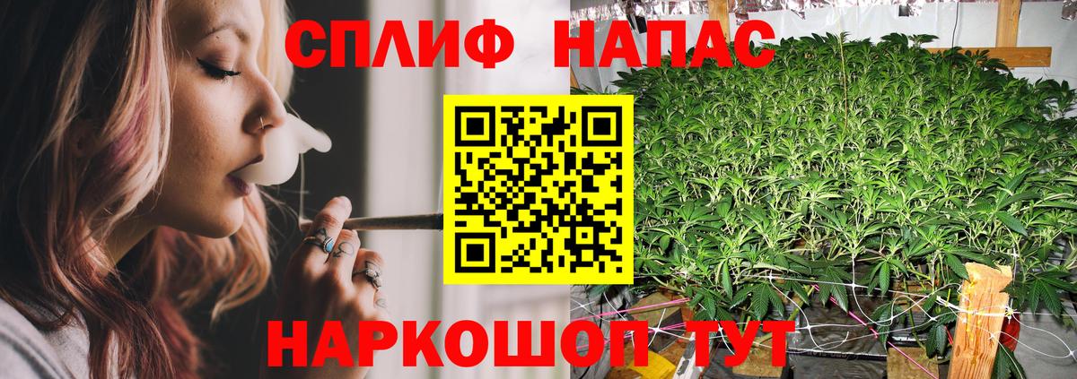 Бошки Шишки план Азнакаево